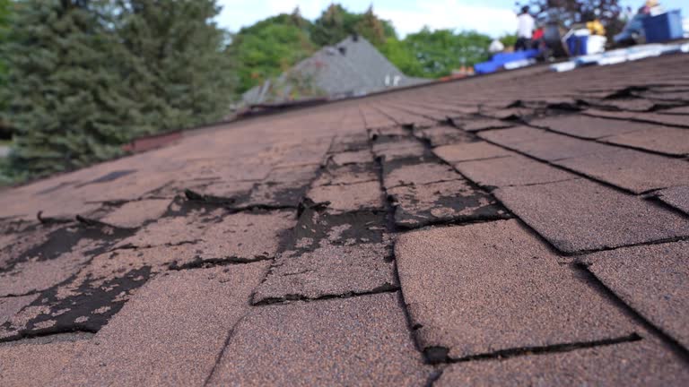 Best Roof Leak Repair  in Yale, MI