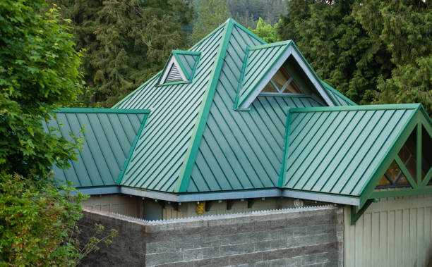 Best Skylight Installation and Repair  in Yale, MI