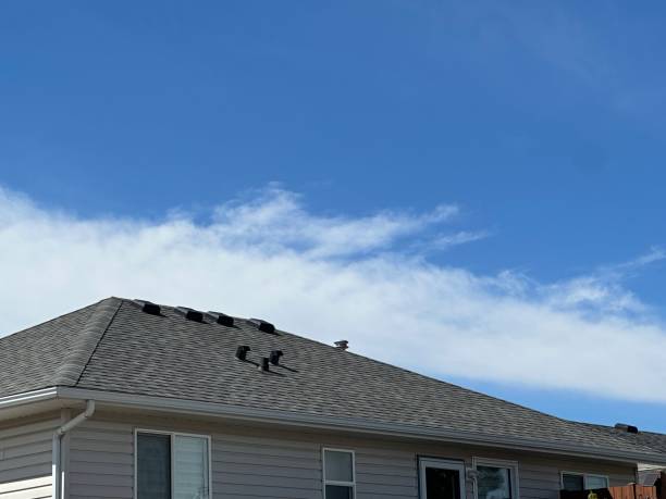 Best Hot Roofs  in Yale, MI